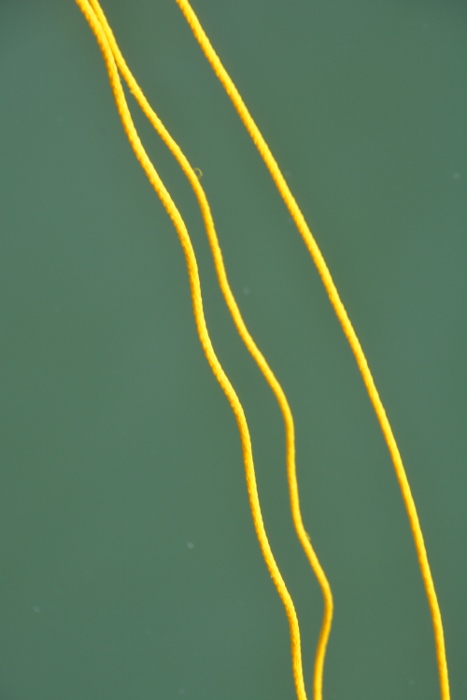 A crab ring rope
